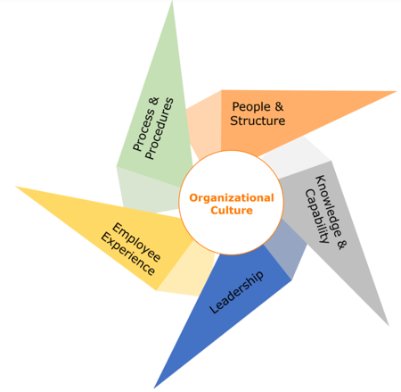 organizational culture organizational culture